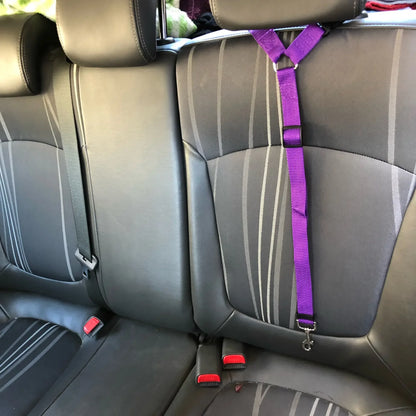 SafeRide 2-in-1 Pet Car Seat Belt