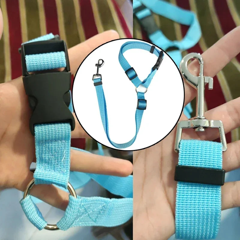 SafeRide 2-in-1 Pet Car Seat Belt